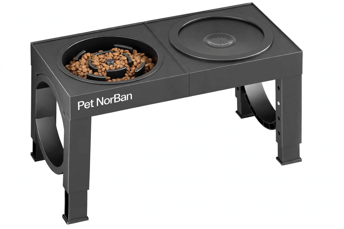 Pet NorBan Elevated Dog Bowls